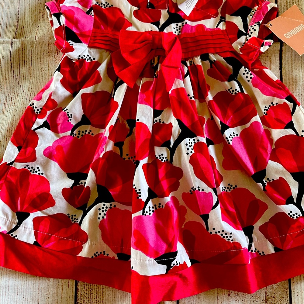 Gymboree 3/6 Months NWT Dress